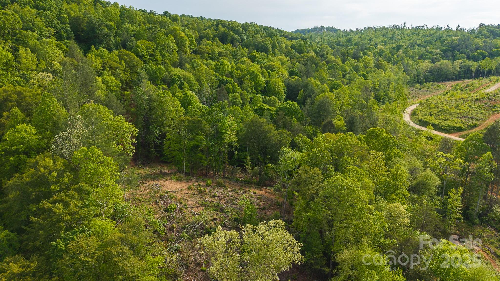 Tbd Hose Road Property Photo 28