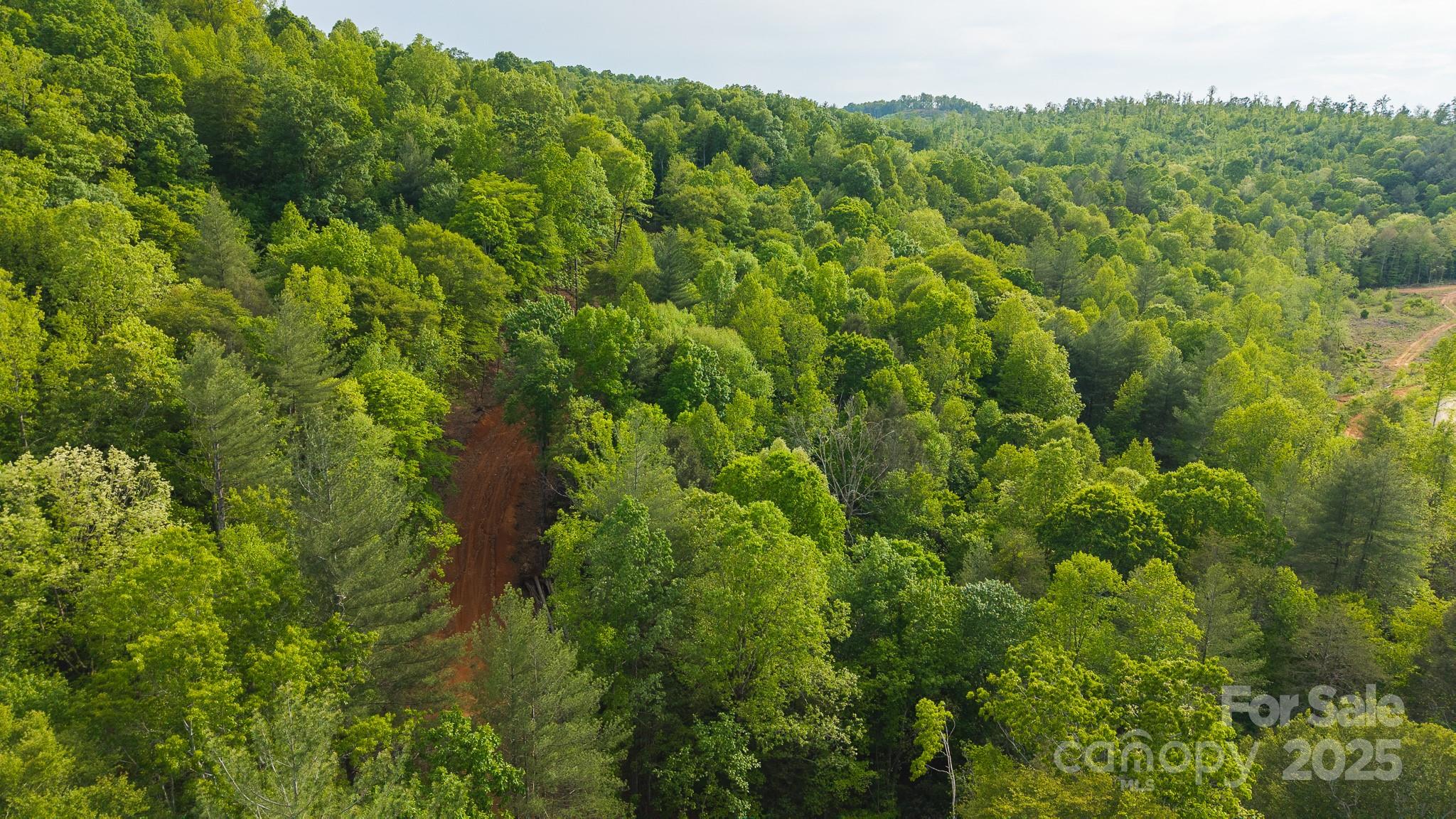 Tbd Hose Road Property Photo 29