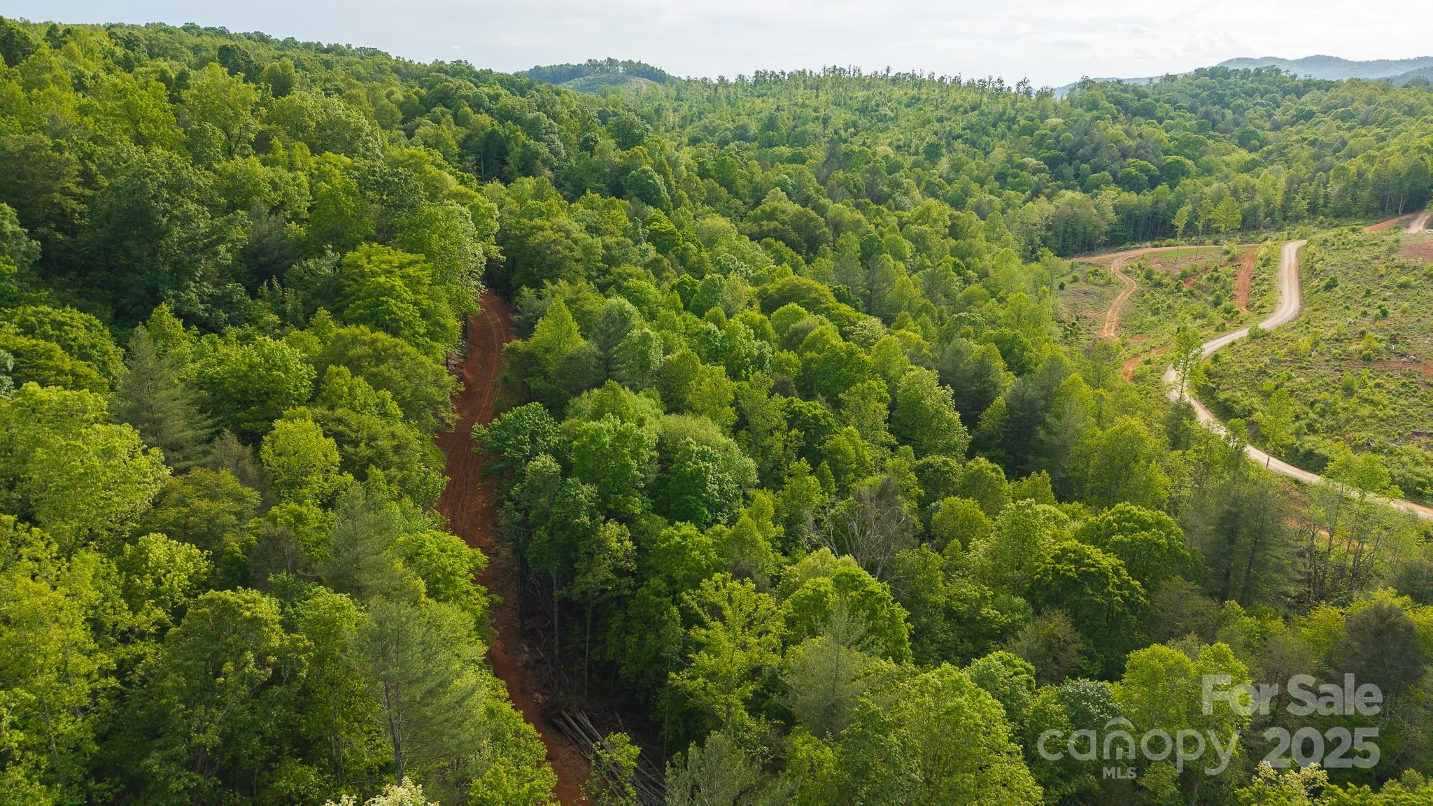 Tbd Hose Road Property Photo 30