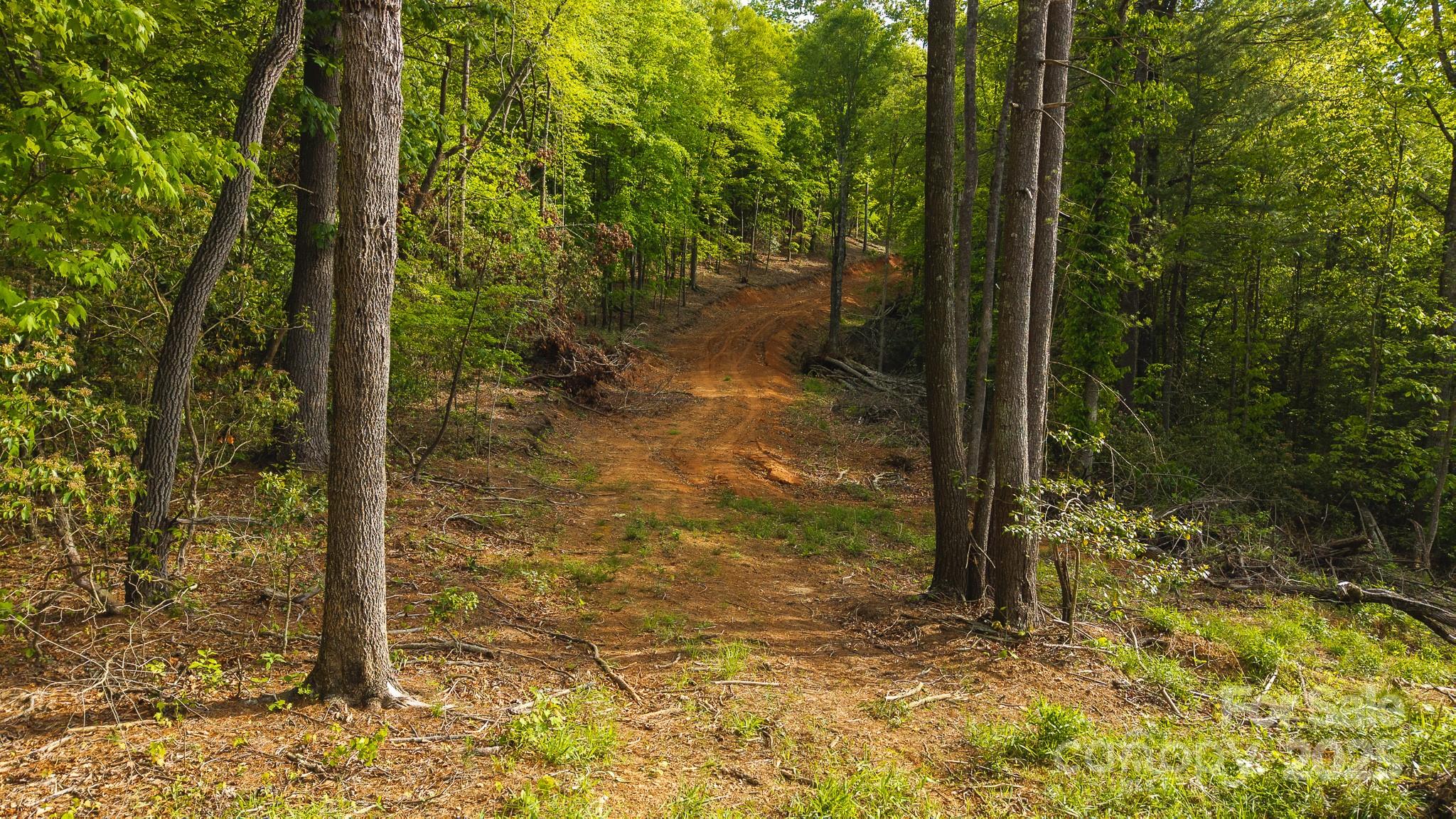 Tbd Hose Road Property Photo 31