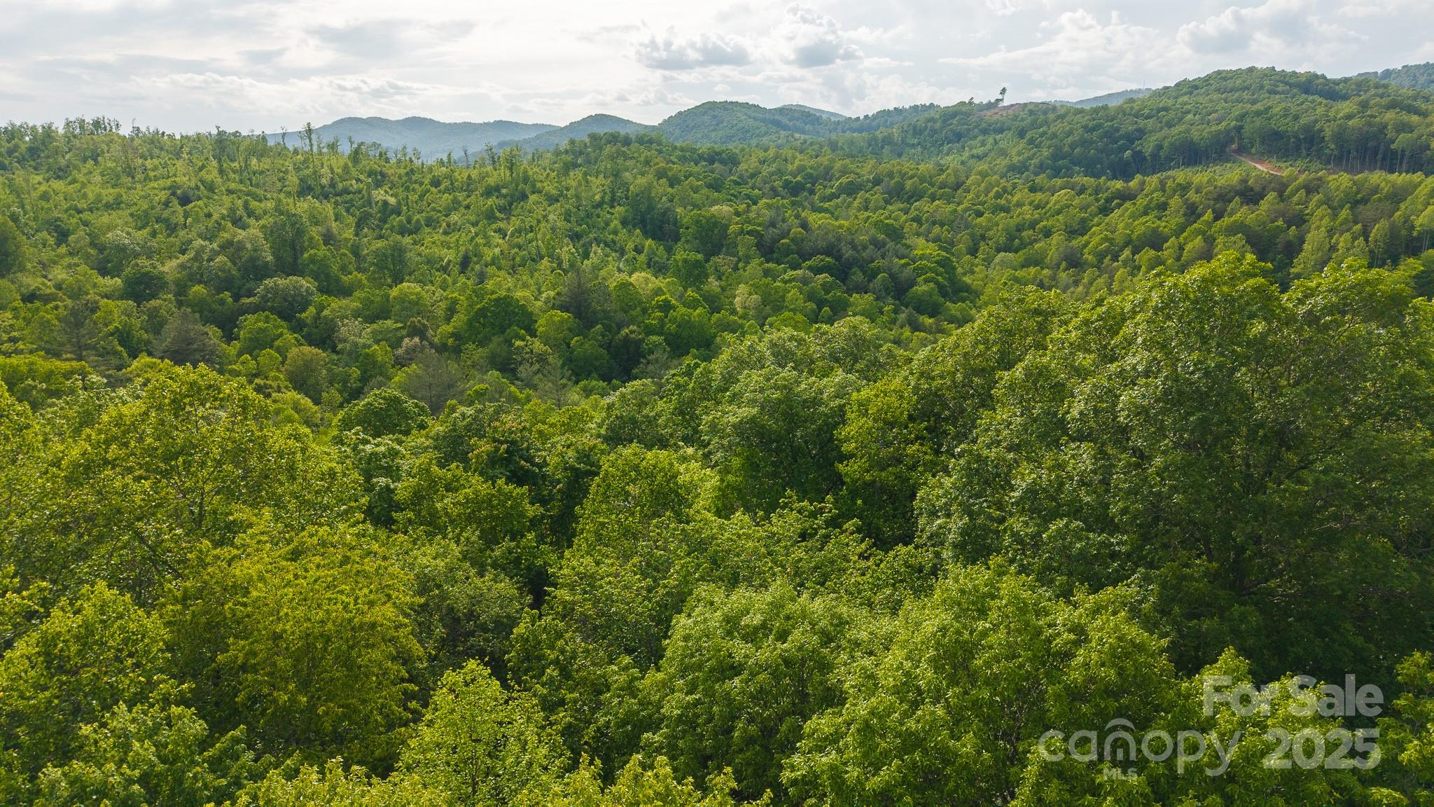 Tbd Hose Road Property Photo 33