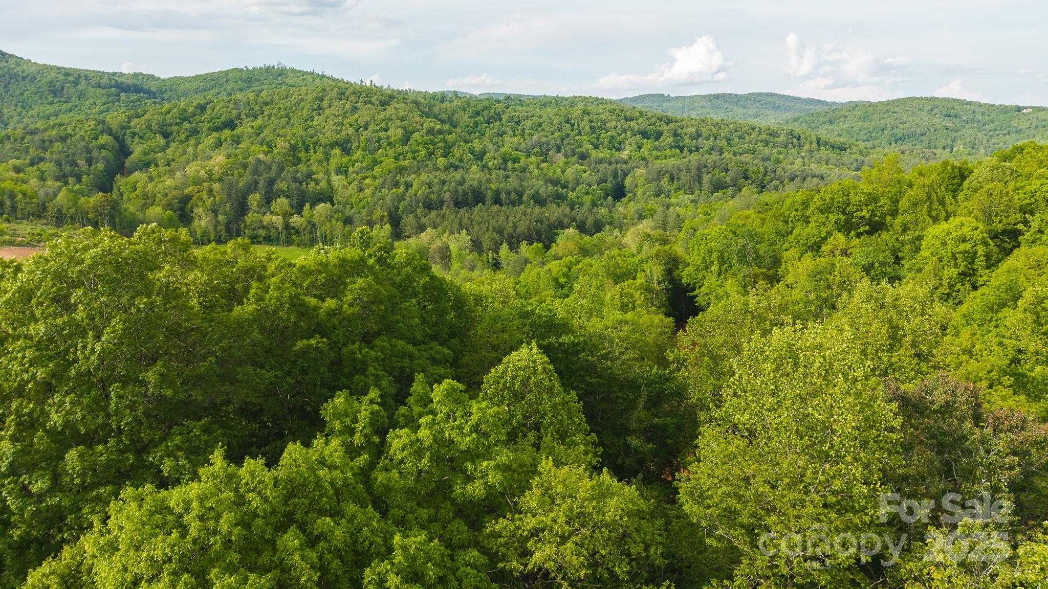 Tbd Hose Road Property Photo 35