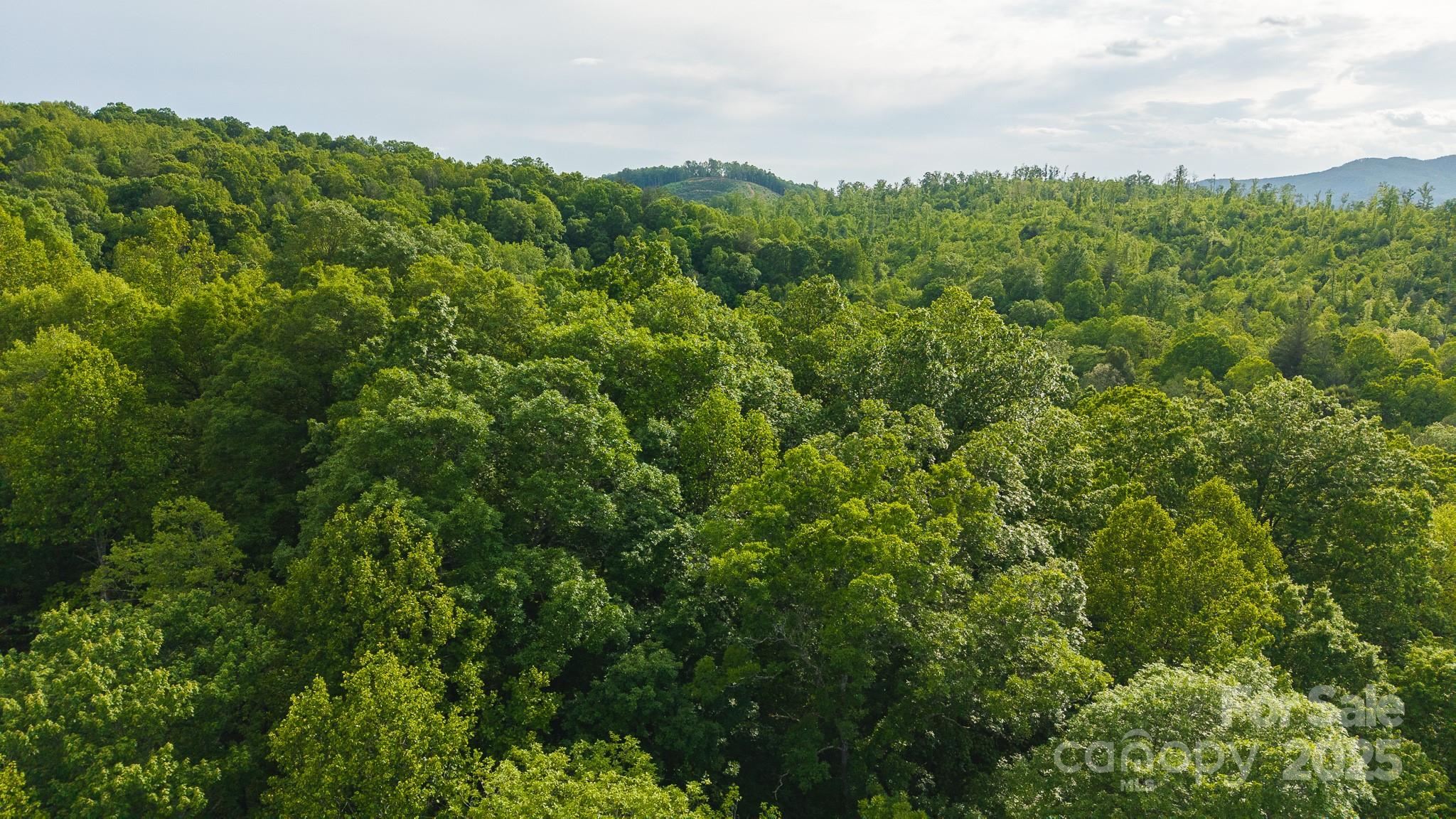 Tbd Hose Road Property Photo 37