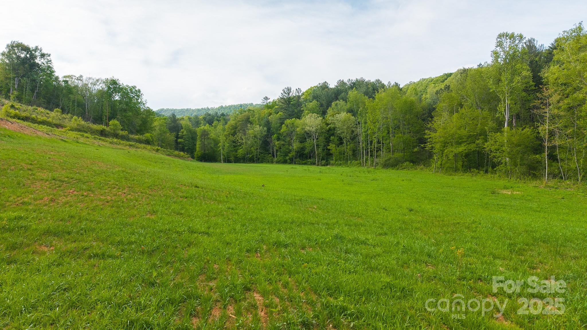 Tbd Hose Road Property Photo 41