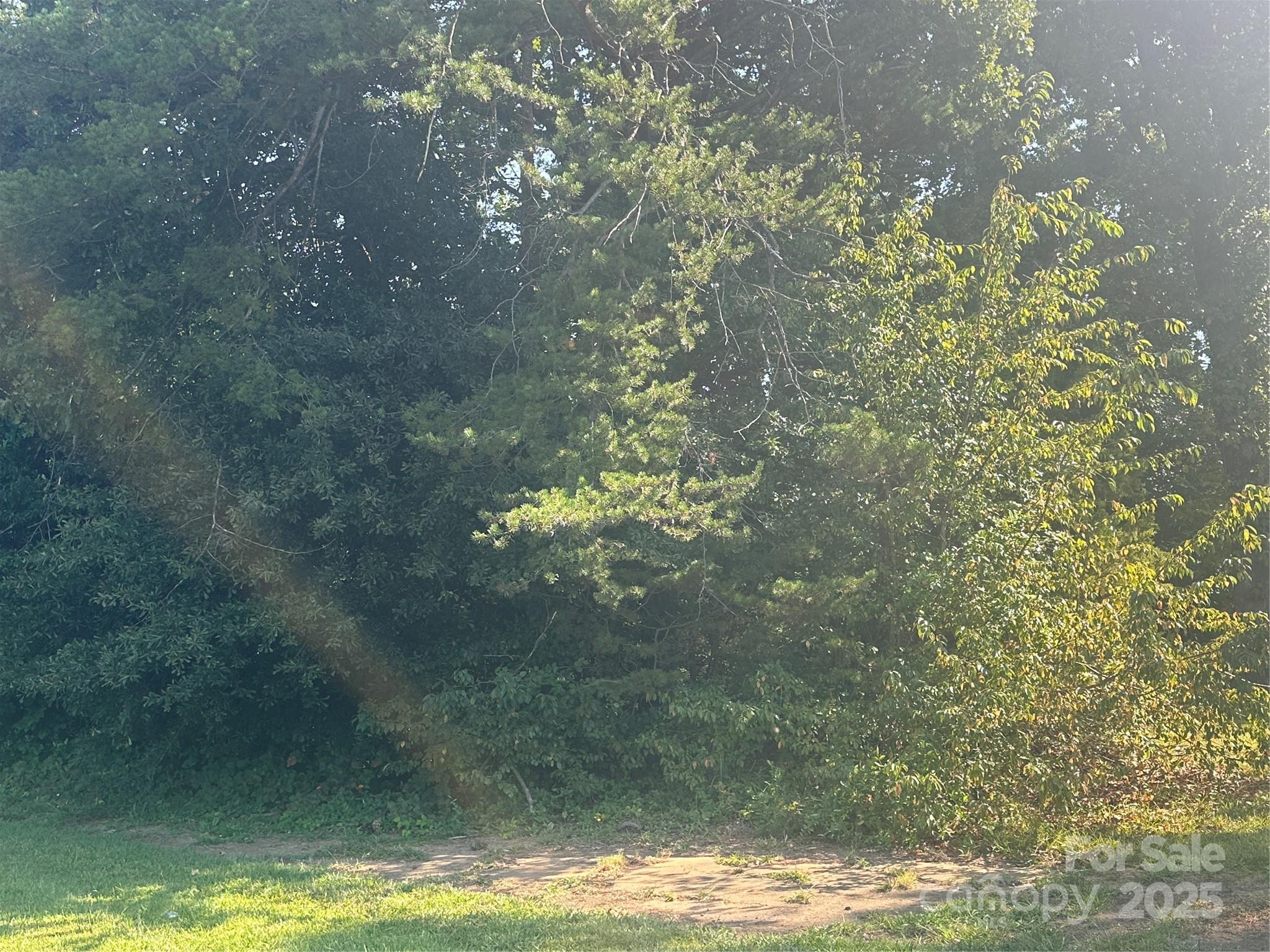 200 Belmont Mt Holly Road Property Photo 2