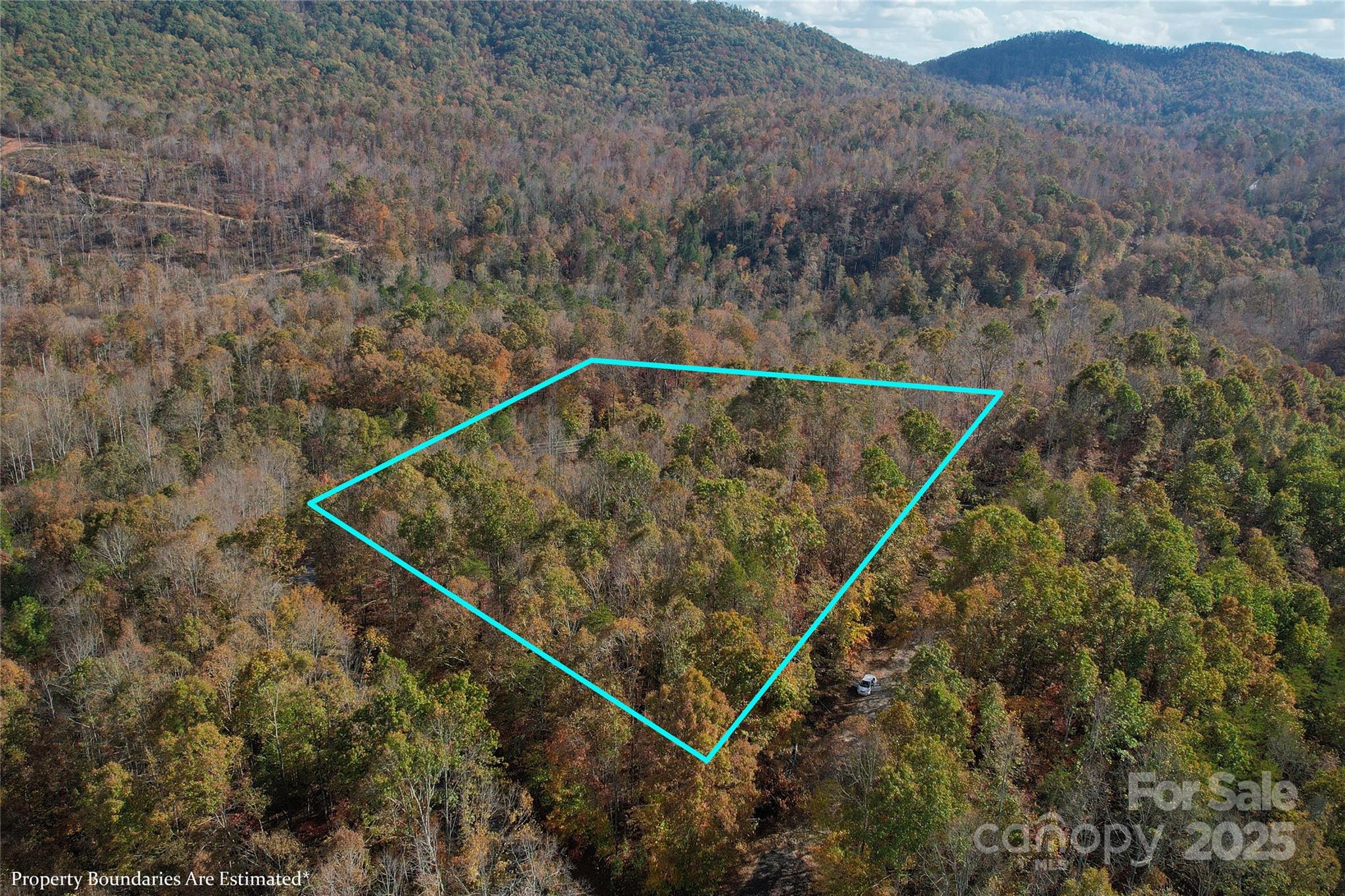 Lot 1 Nc Highway 226 Highway Property Photo 1