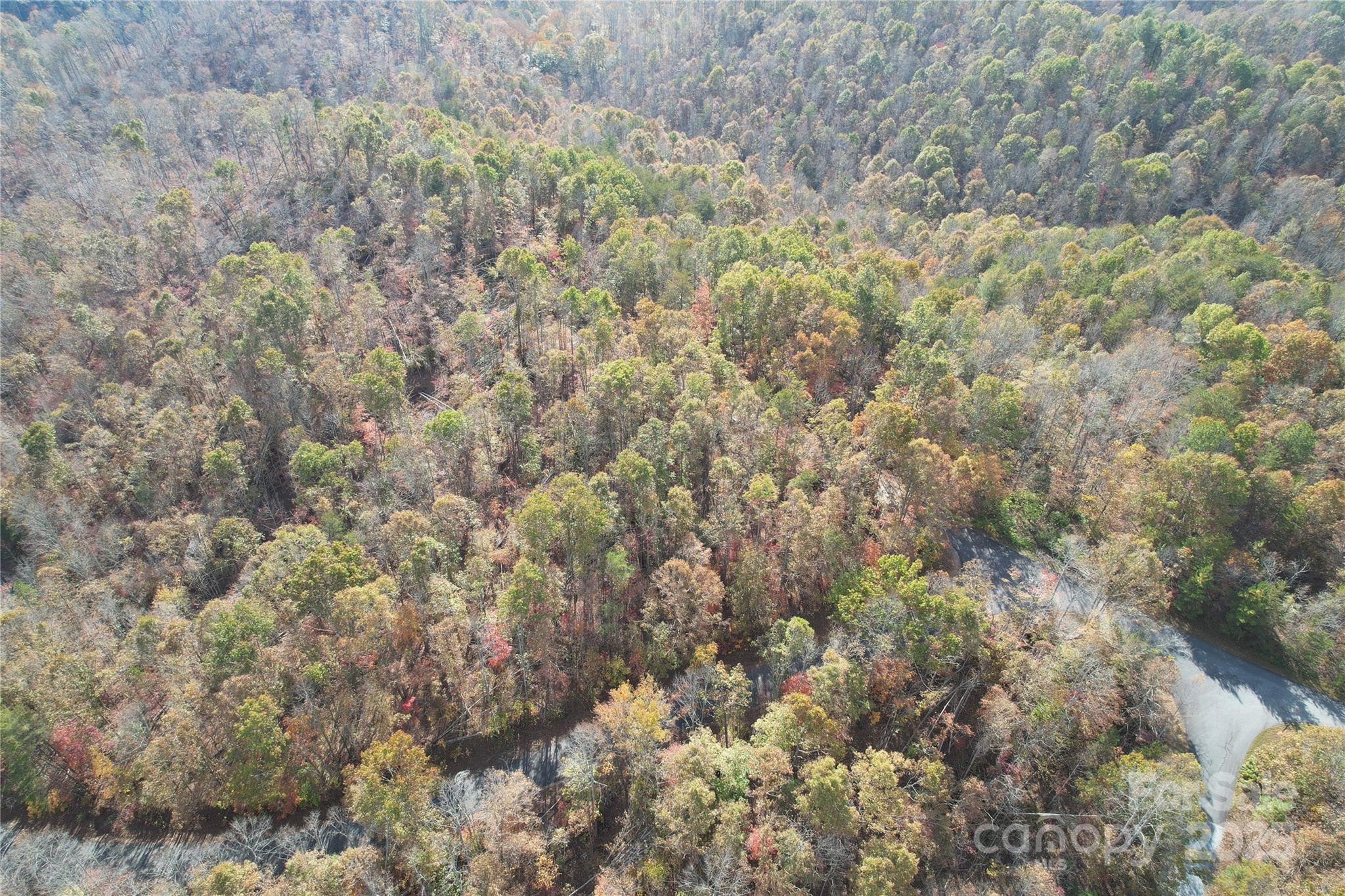 Lot 1 Nc Highway 226 Highway Property Photo 8