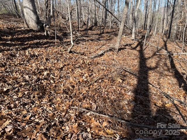 Lot 1 Nc Highway 226 Highway Property Photo 9