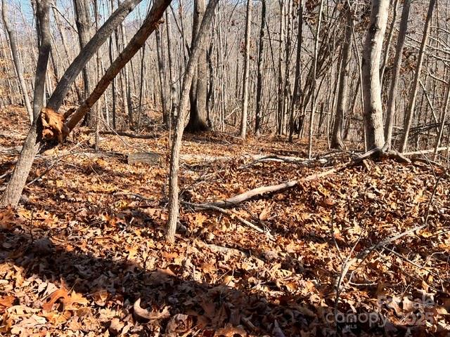 Lot 1 Nc Highway 226 Highway Property Photo 10