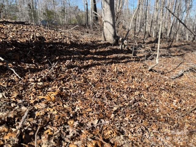 Lot 1 Nc Highway 226 Highway Property Photo 11