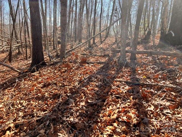 Lot 1 Nc Highway 226 Highway Property Photo 12