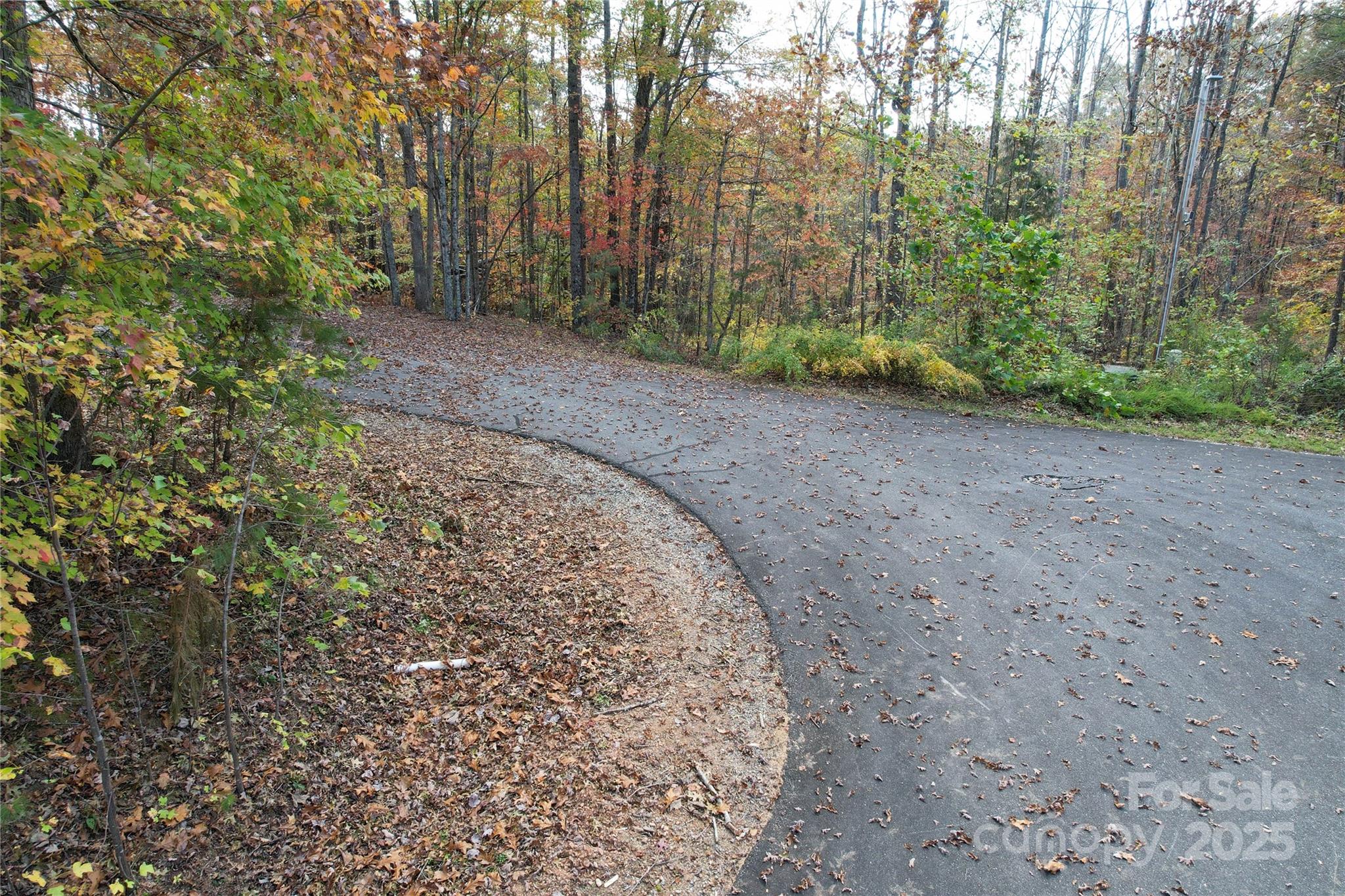 Lot 1 Nc Highway 226 Highway Property Photo 13