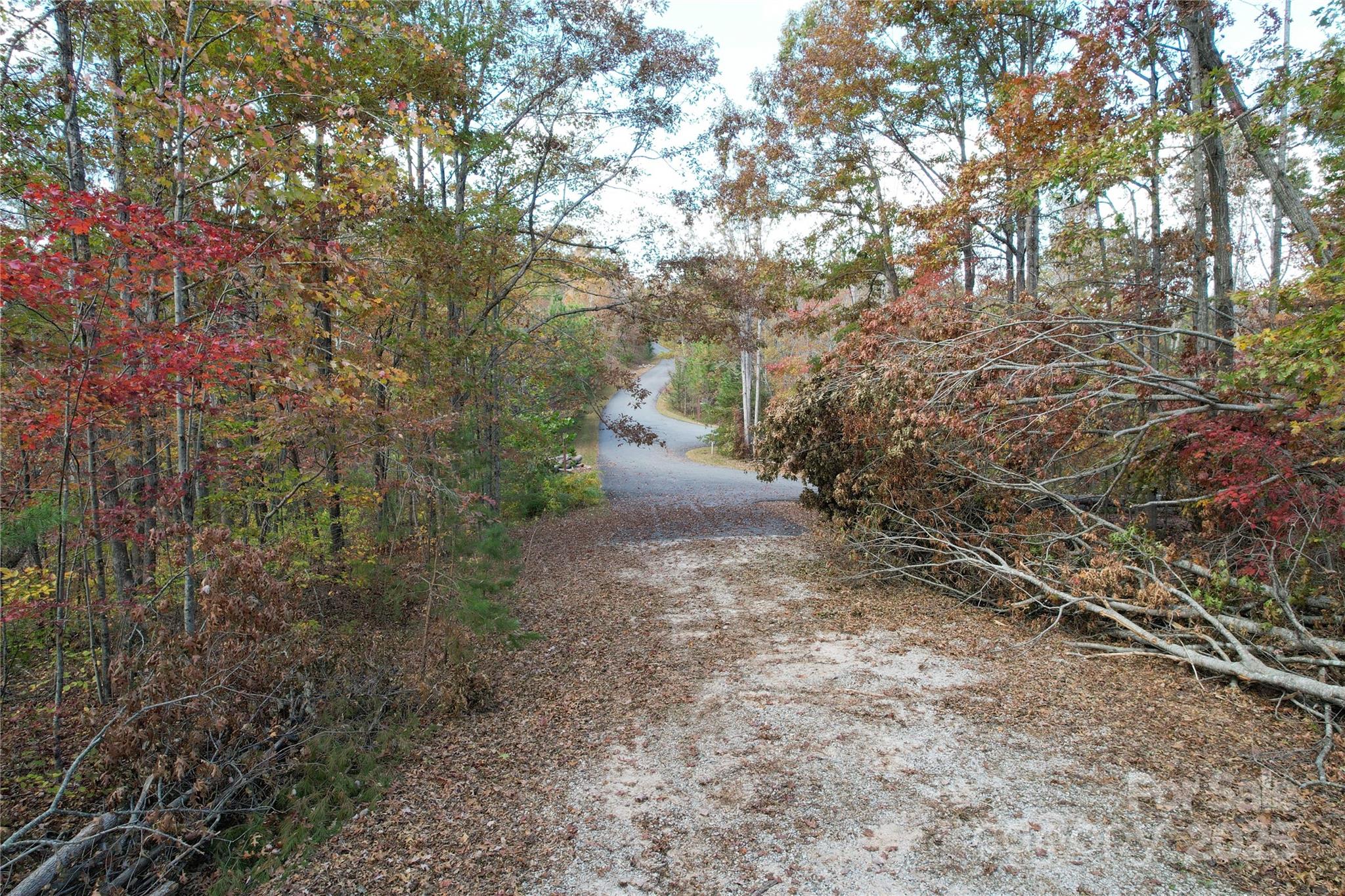 Lot 1 Nc Highway 226 Highway Property Photo 14