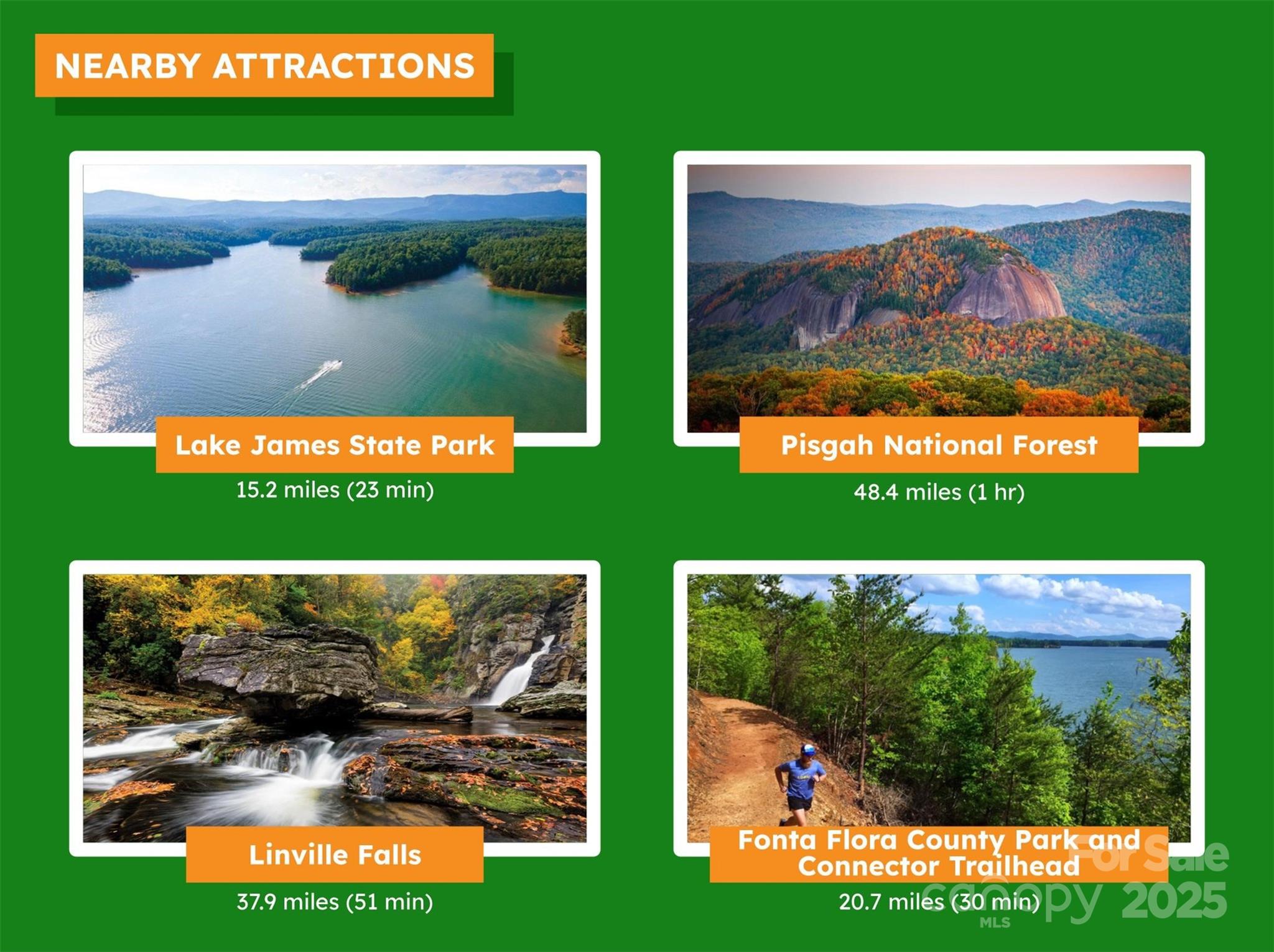 Lot 1 Nc Highway 226 Highway Property Photo 18