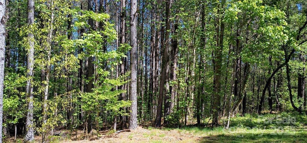 158 Table Rock Trace Property Photo 1