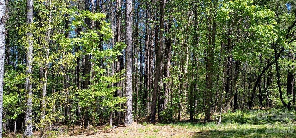 158 Table Rock Trace Property Photo 1