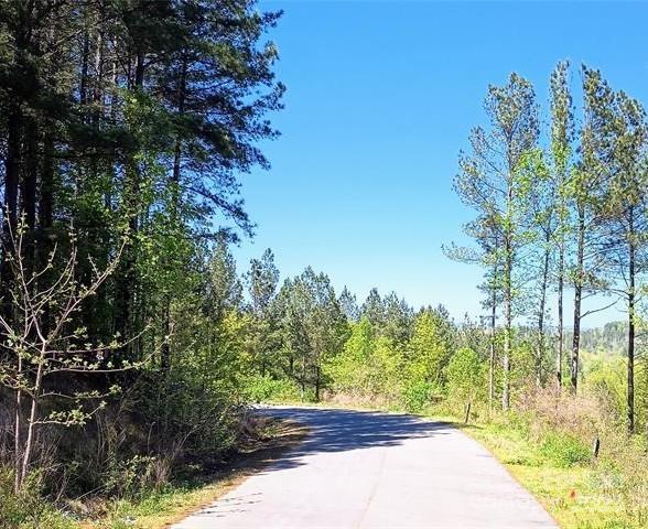 158 Table Rock Trace Property Photo 6