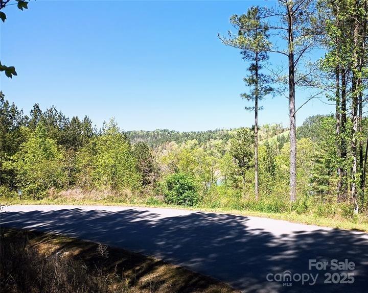 158 Table Rock Trace Property Photo 7