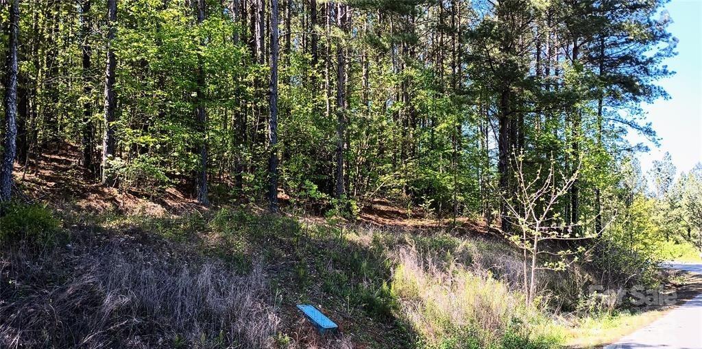 158 Table Rock Trace Property Photo 8