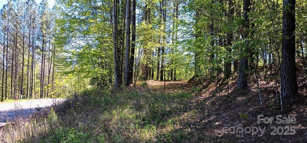 158 Table Rock Trace Property Photo 9