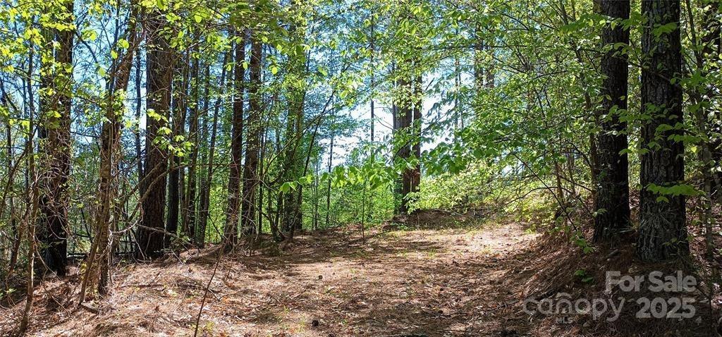 158 Table Rock Trace Property Photo 10