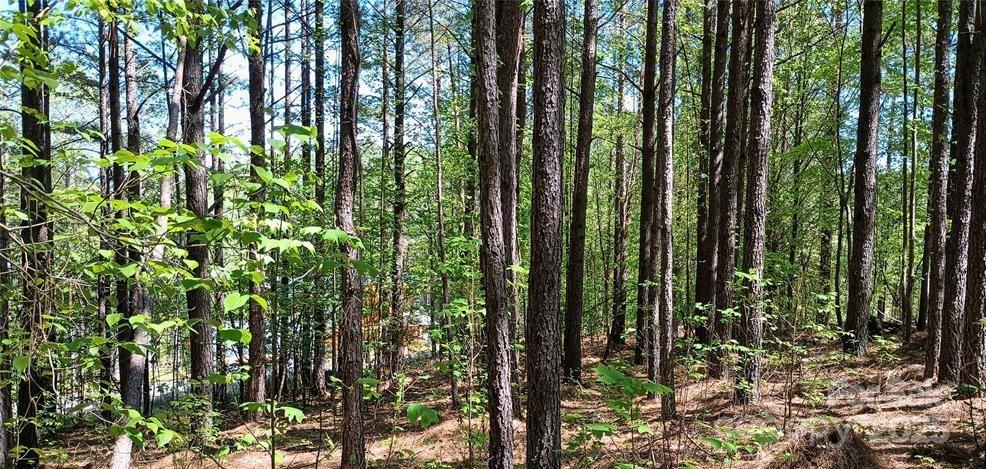 158 Table Rock Trace Property Photo 11
