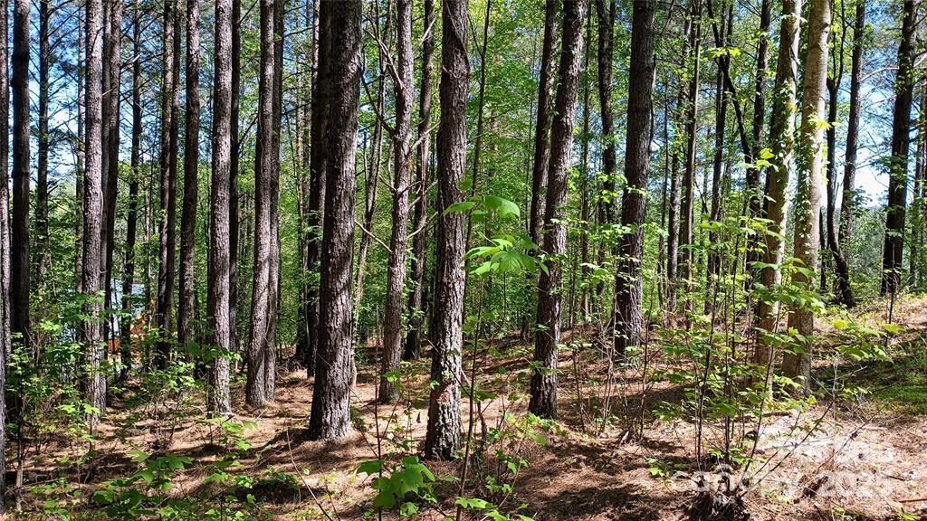 158 Table Rock Trace Property Photo 12