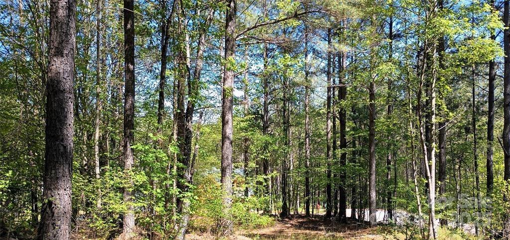 158 Table Rock Trace Property Photo 13