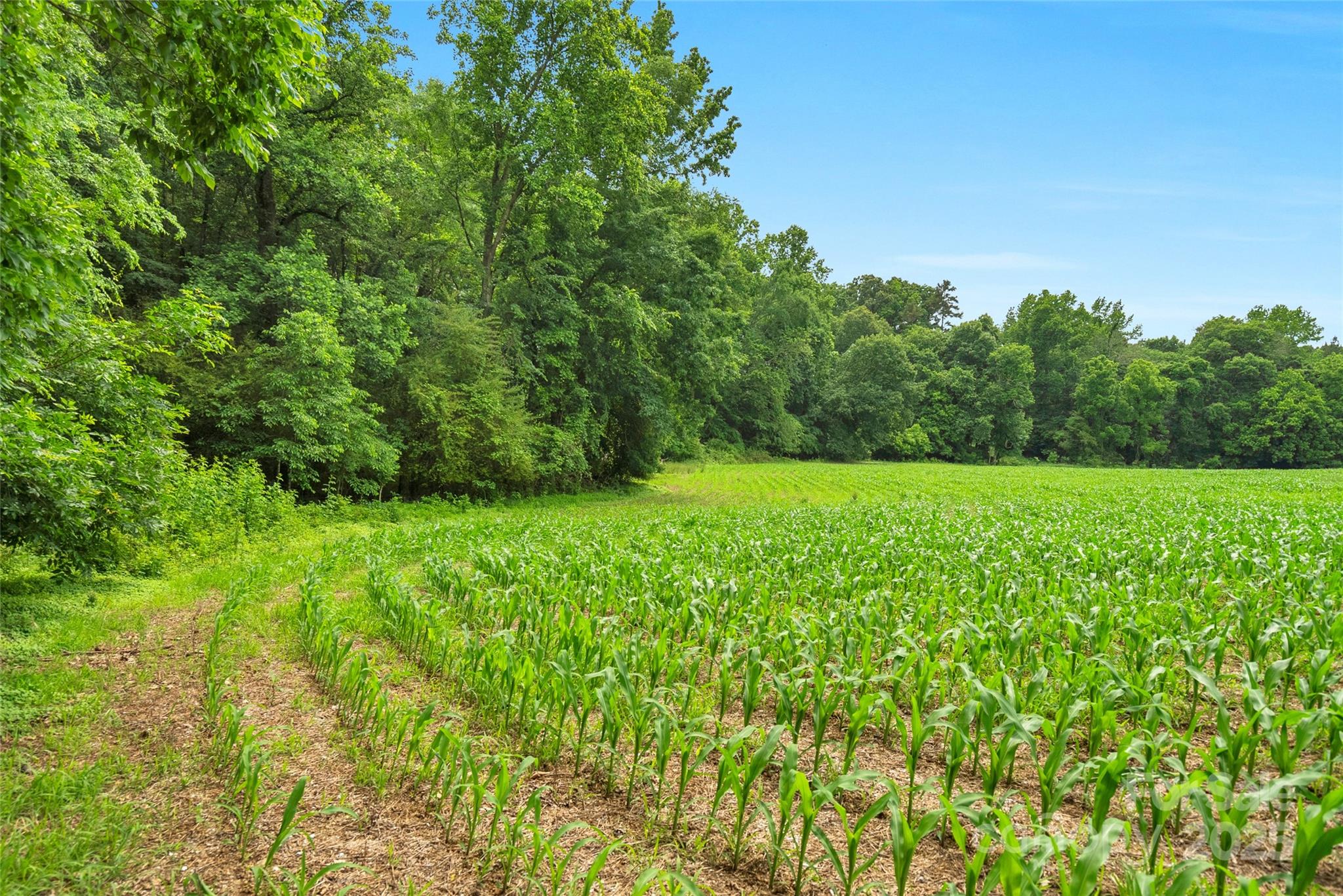 0000 Lucy Short Cut Road 2 Property Photo 1