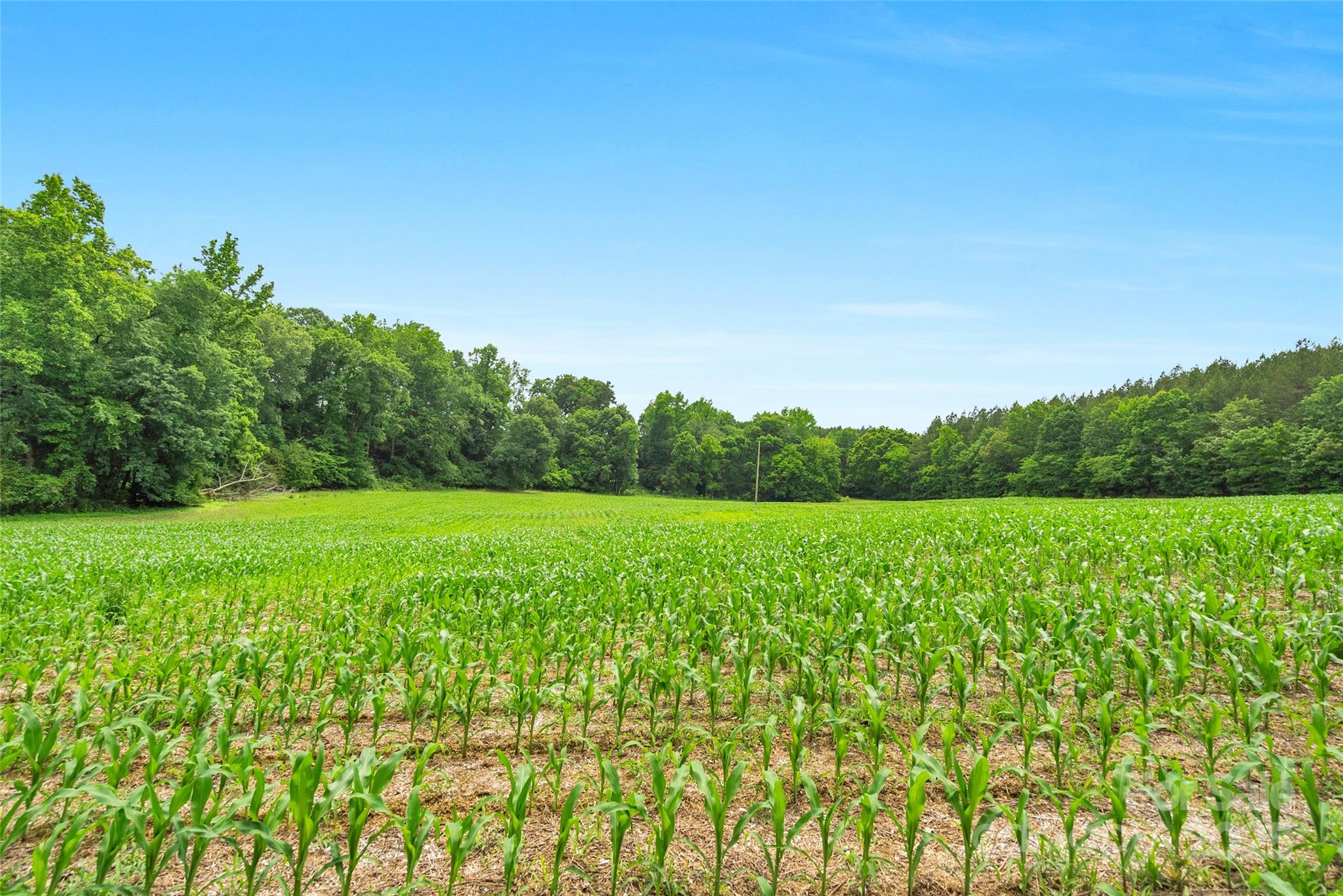 0000 Lucy Short Cut Road 2 Property Photo 3