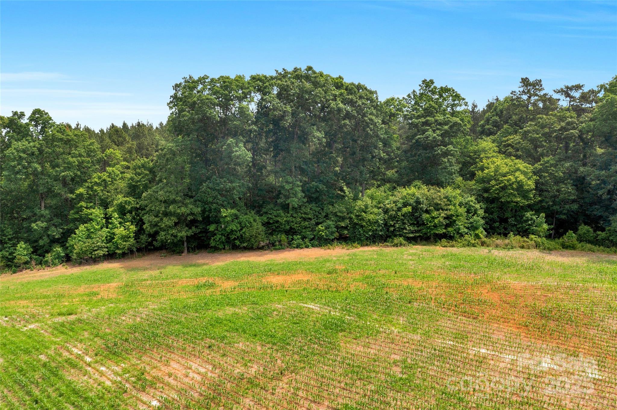 0000 Lucy Short Cut Road 2 Property Photo 4