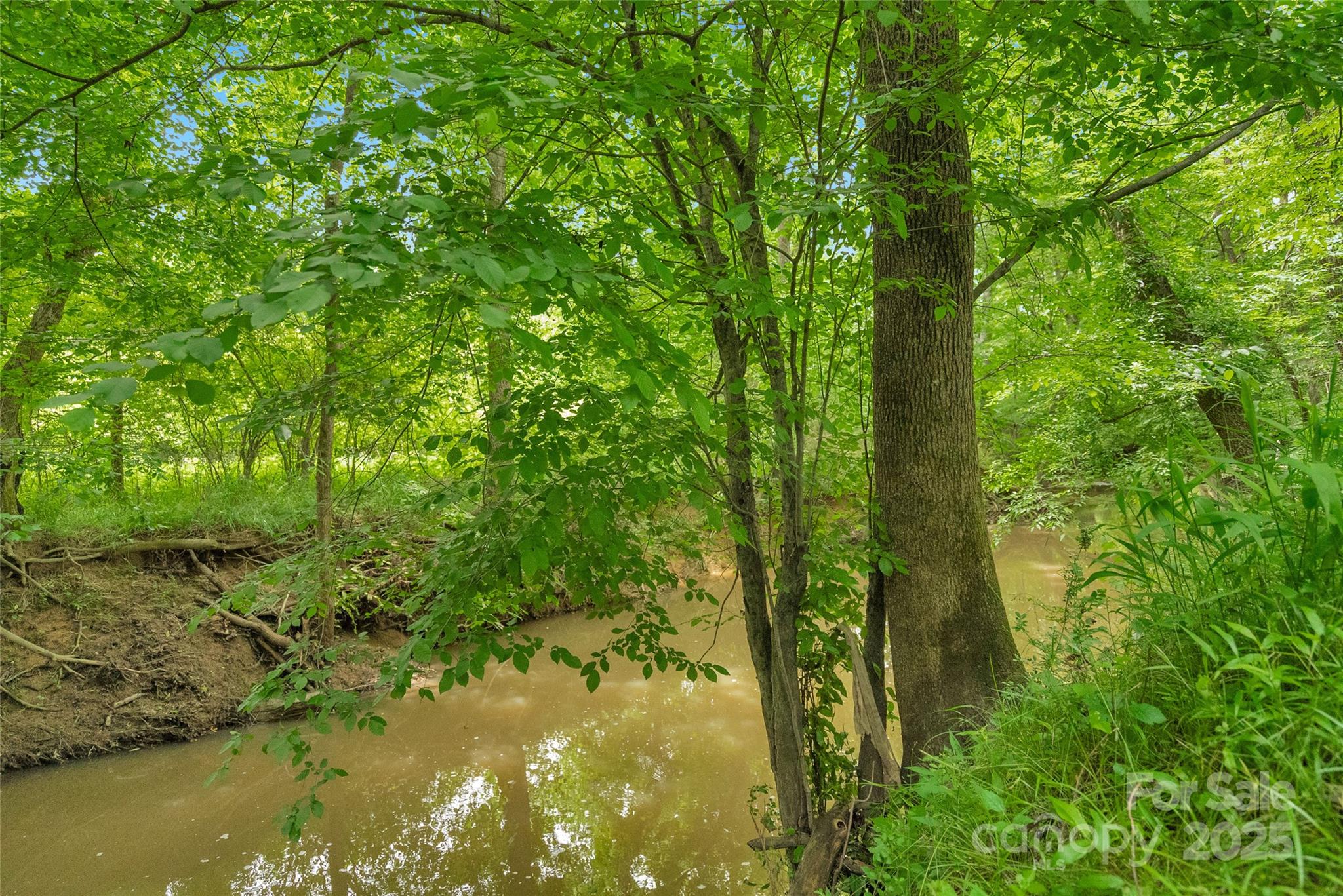 0000 Lucy Short Cut Road 2 Property Photo 5