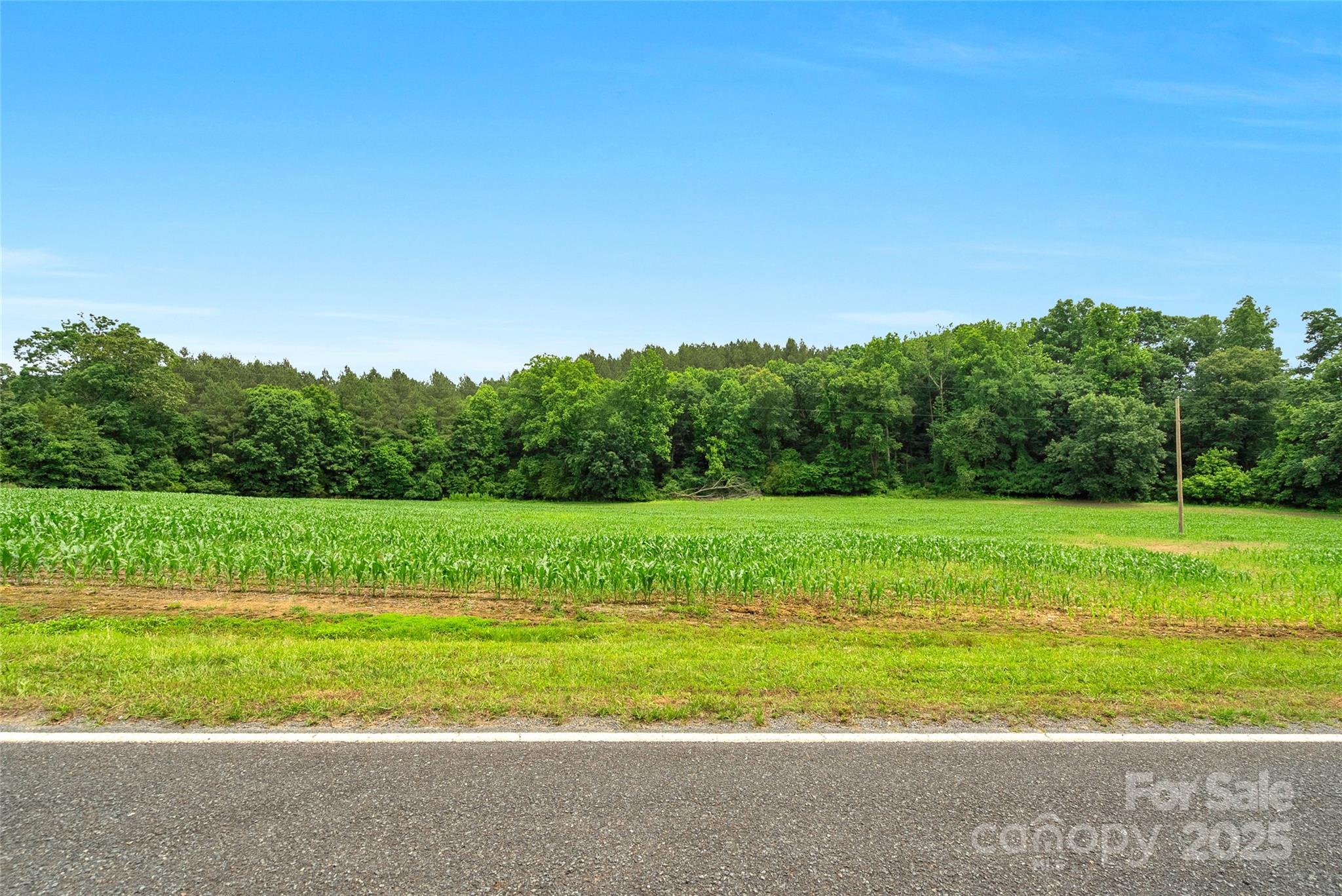 0000 Lucy Short Cut Road 2 Property Photo 6
