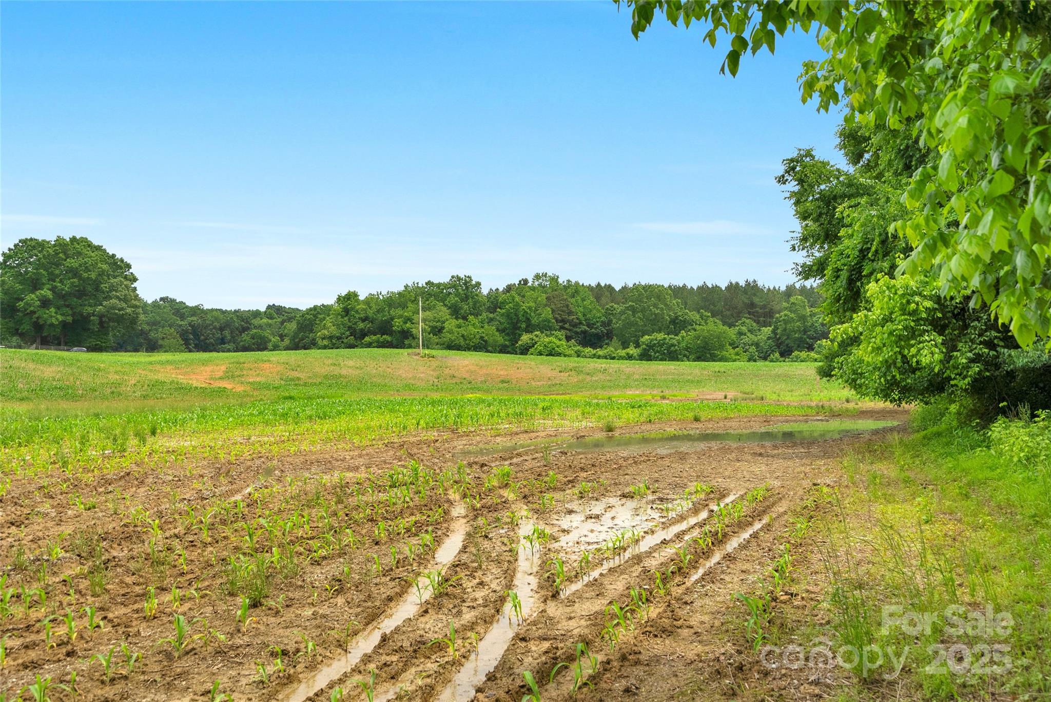 0000 Lucy Short Cut Road 2 Property Photo 9