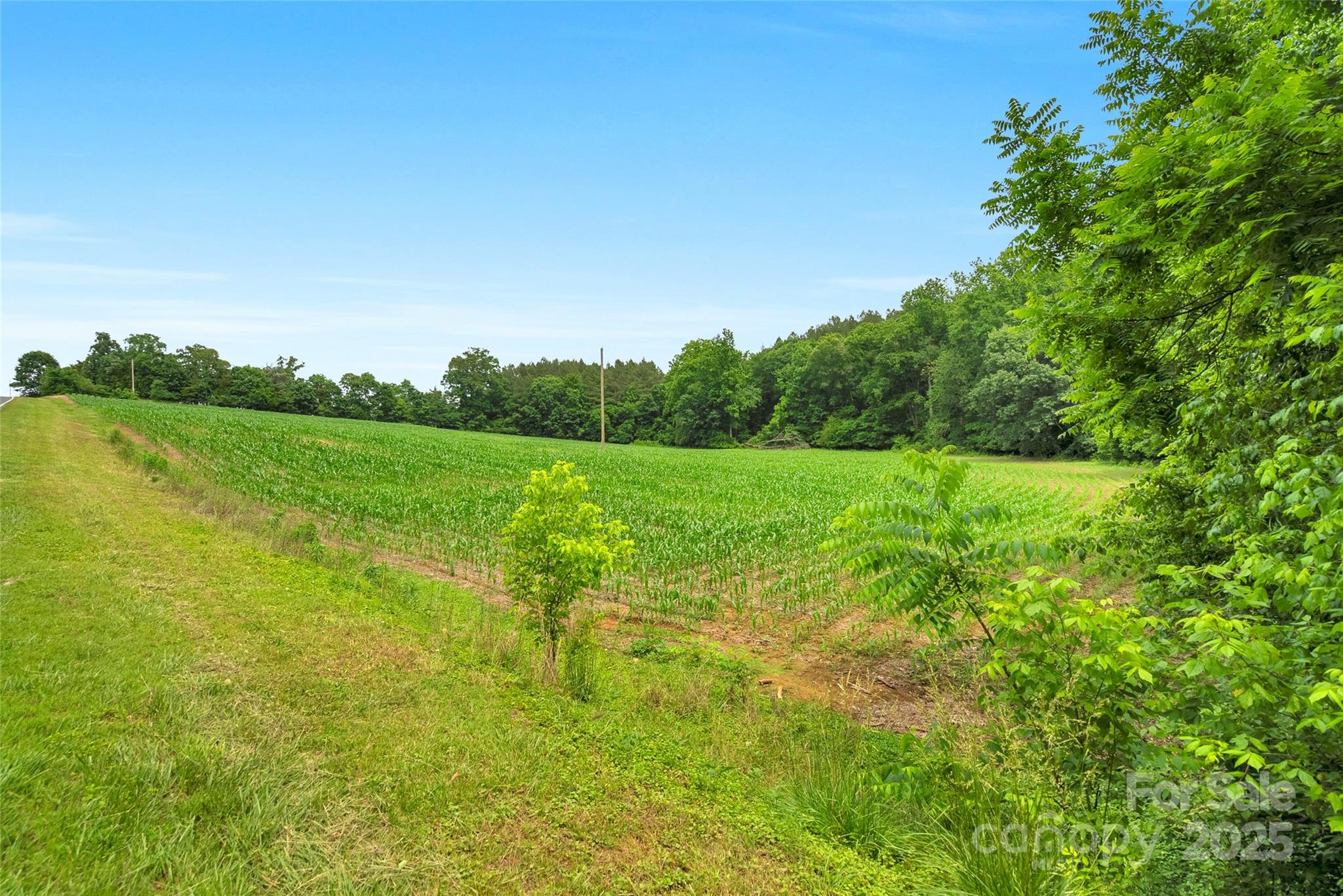 0000 Lucy Short Cut Road 2 Property Photo 10