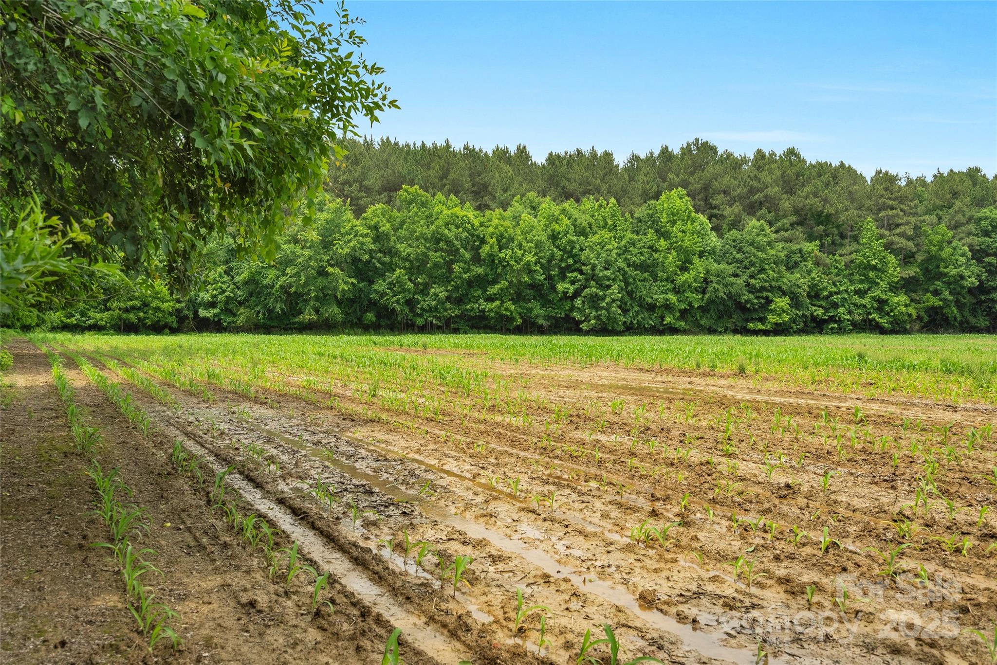 0000 Lucy Short Cut Road 2 Property Photo 11