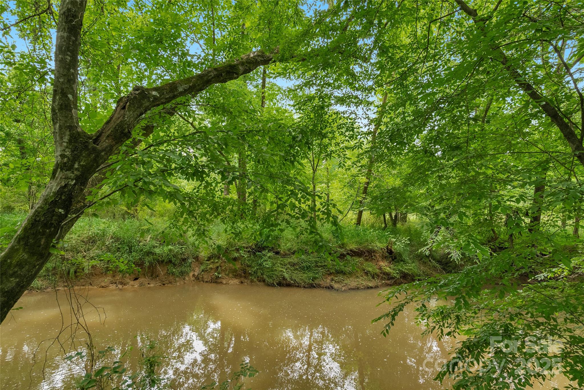 0000 Lucy Short Cut Road 2 Property Photo 12
