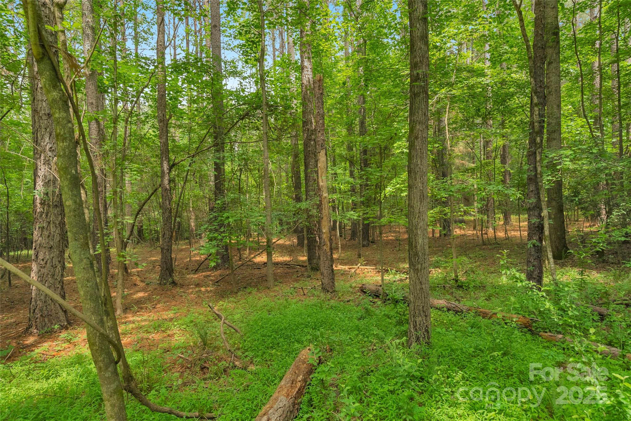 0000 Lucy Short Cut Road 2 Property Photo 14