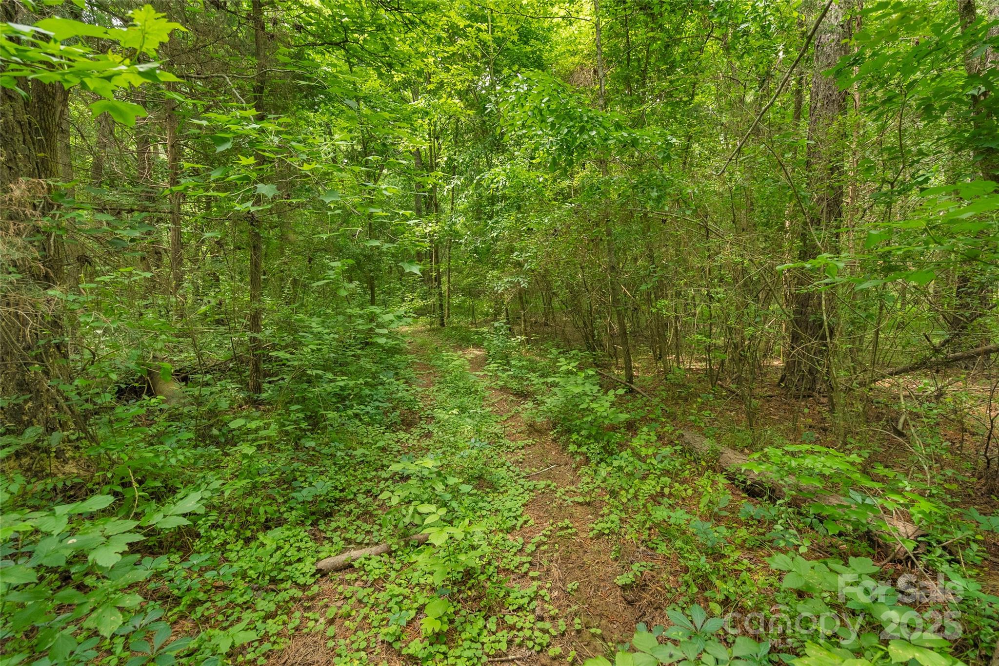 0000 Lucy Short Cut Road 2 Property Photo 15