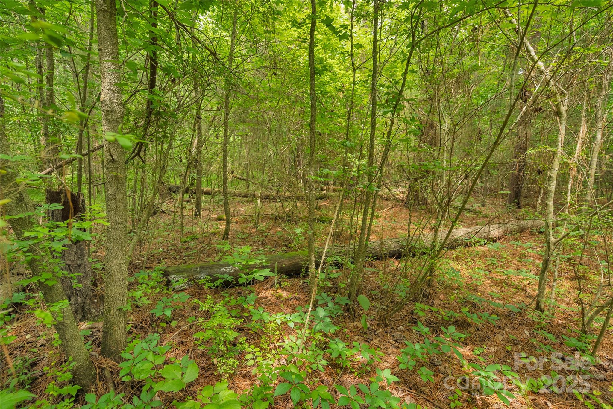 0000 Lucy Short Cut Road 2 Property Photo 16