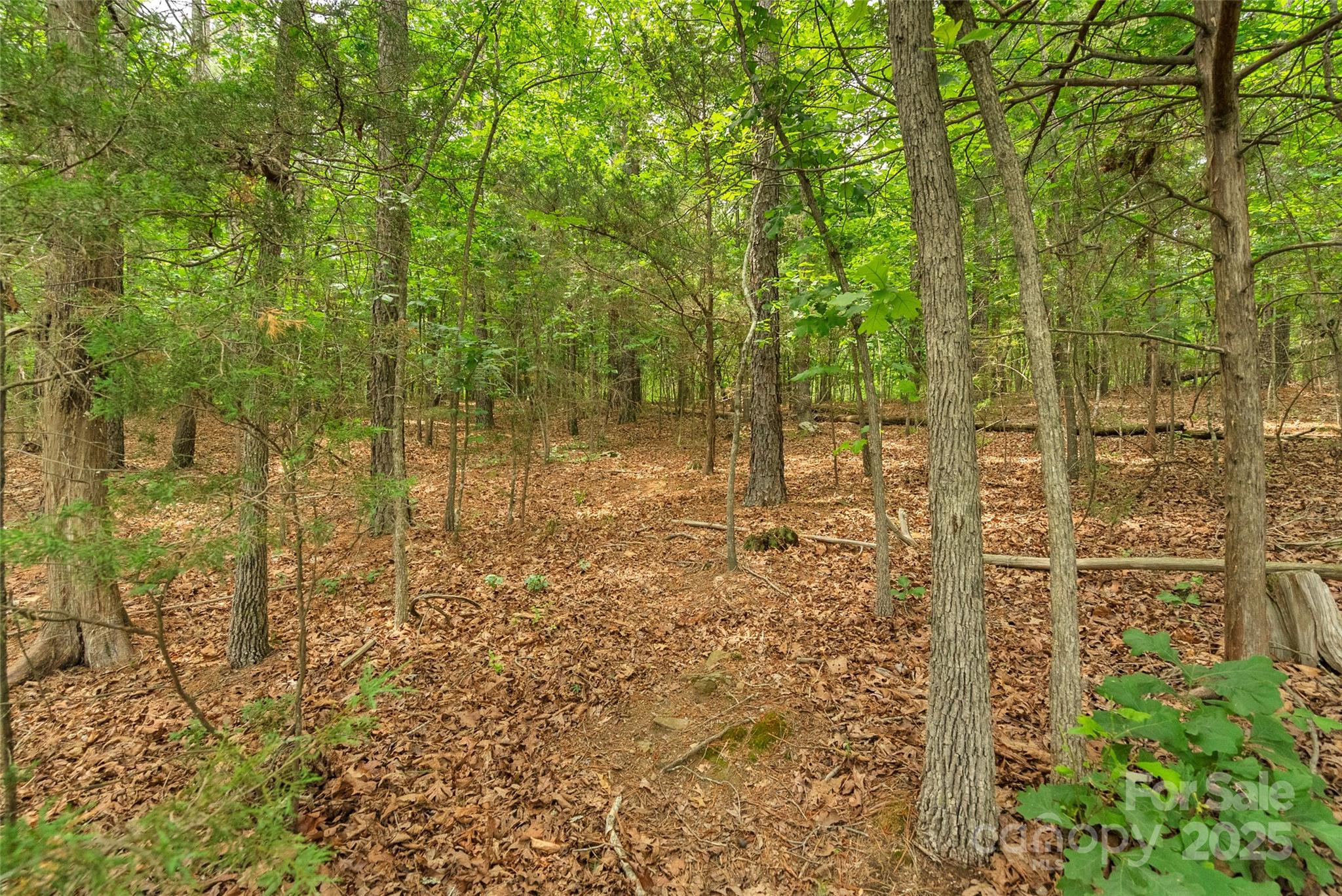 0000 Lucy Short Cut Road 2 Property Photo 18