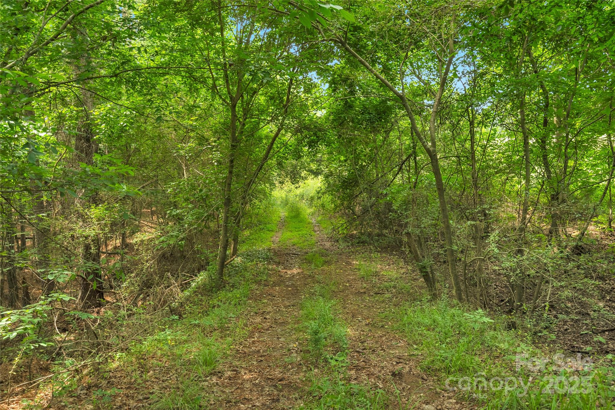 0000 Lucy Short Cut Road 2 Property Photo 20
