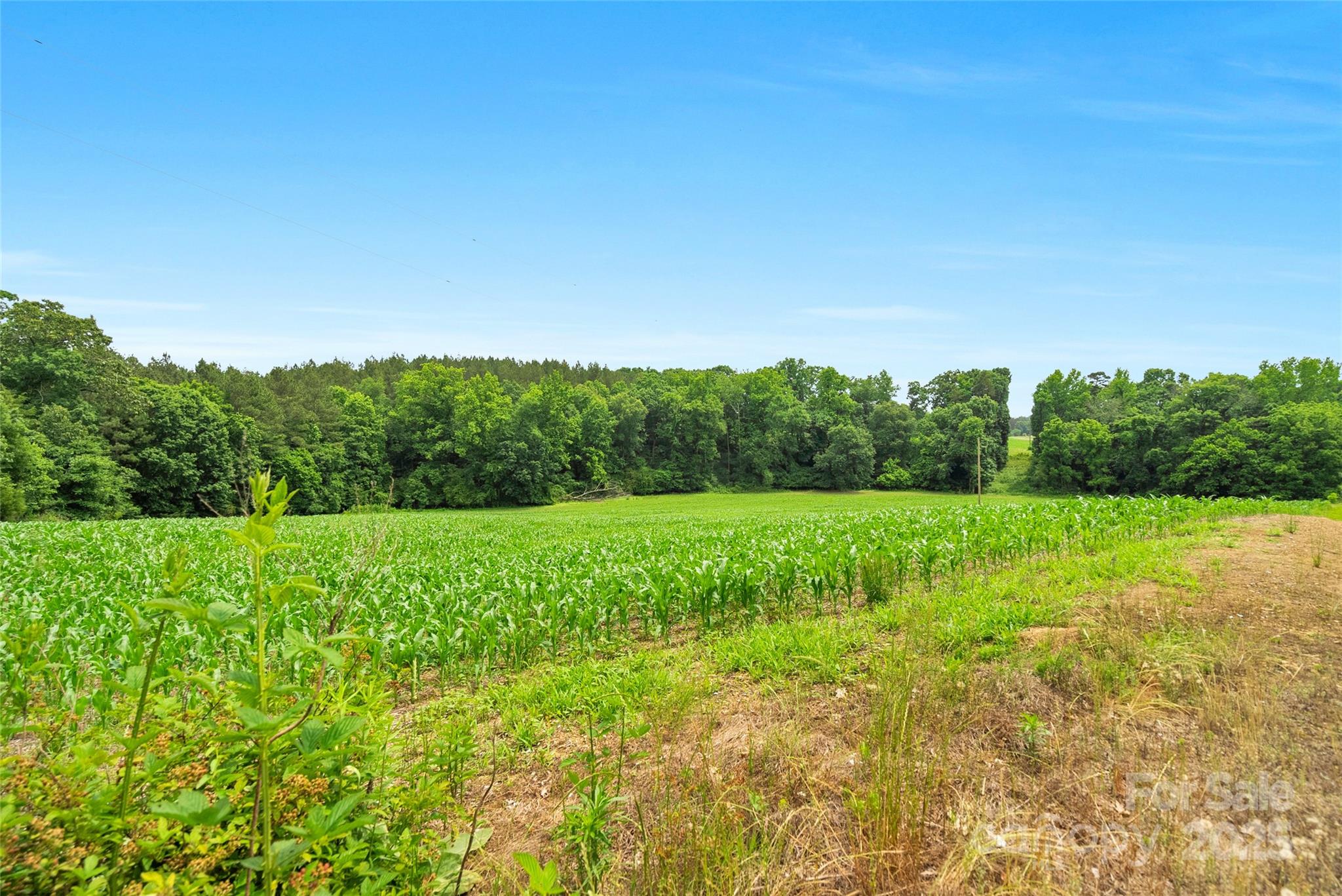 0000 Lucy Short Cut Road 2 Property Photo 21
