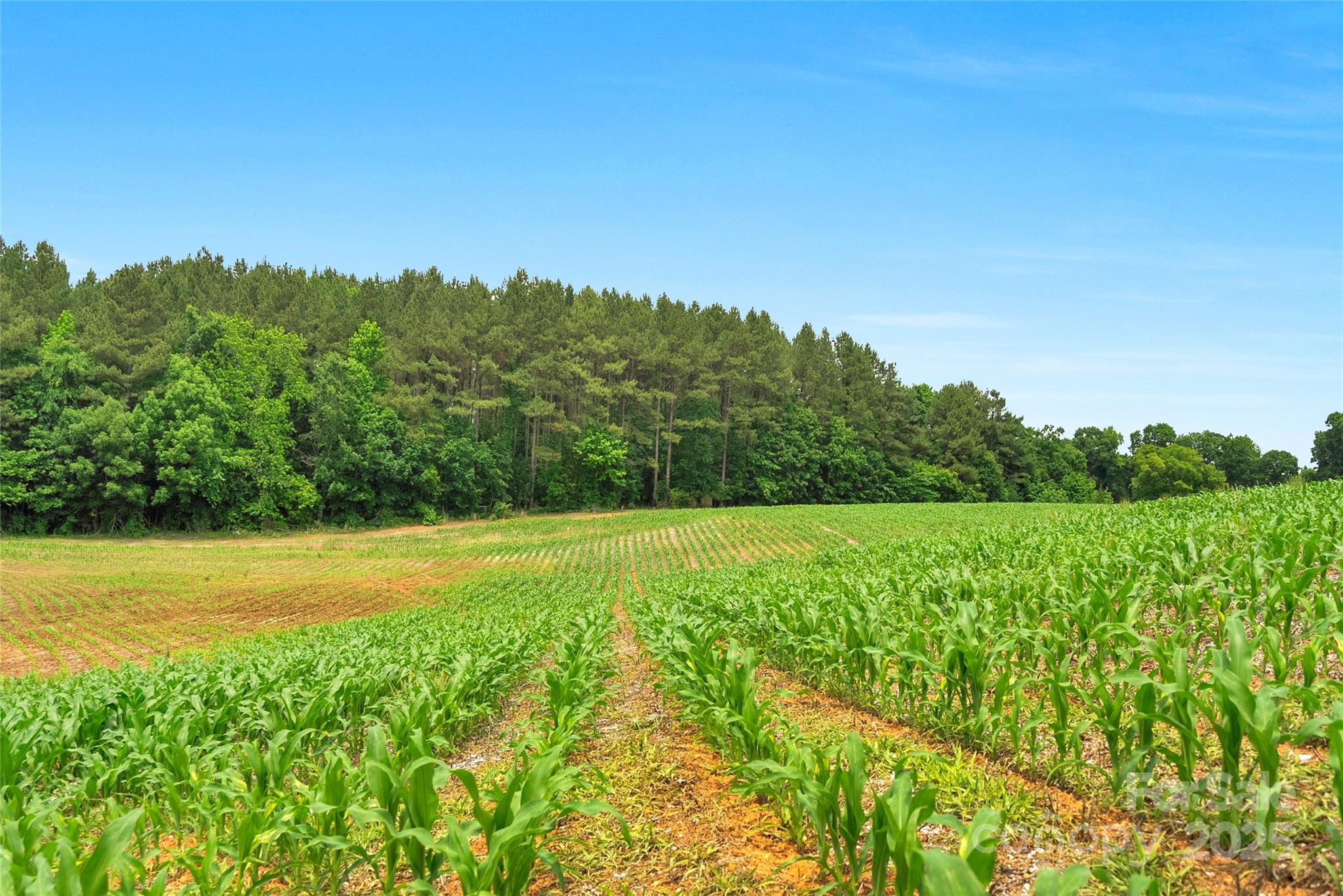 0000 Lucy Short Cut Road 2 Property Photo 22