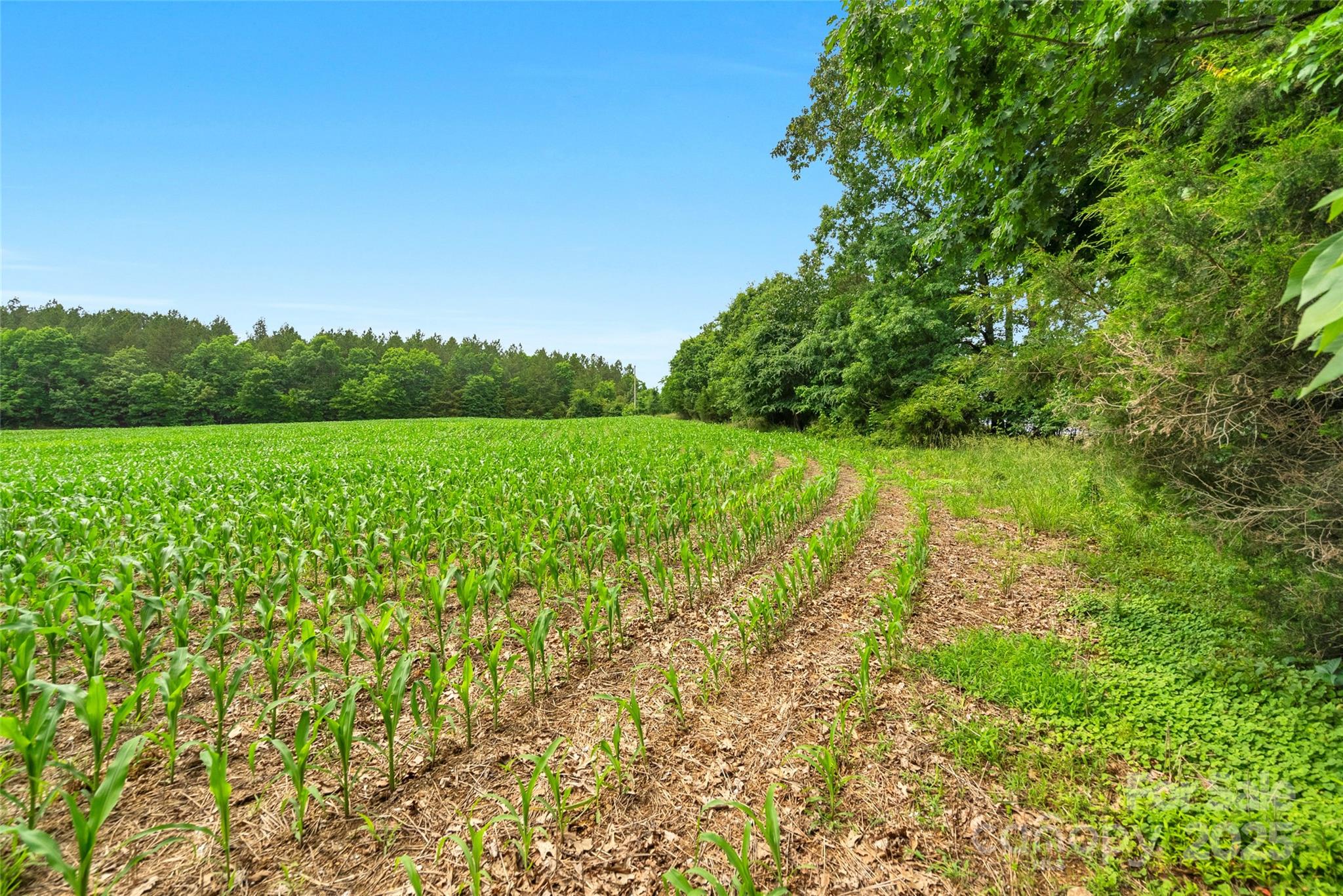 0000 Lucy Short Cut Road 2 Property Photo 24