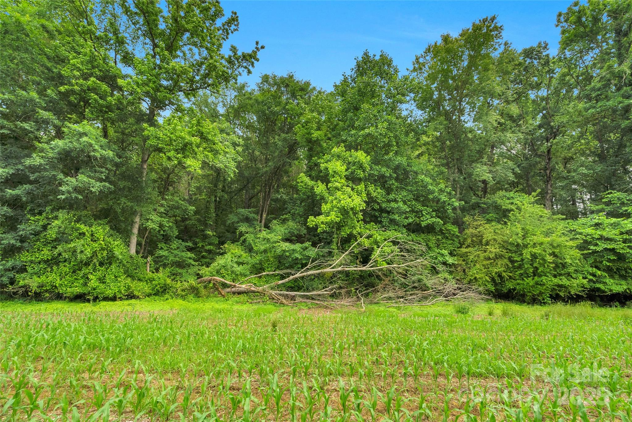 0000 Lucy Short Cut Road 2 Property Photo 25