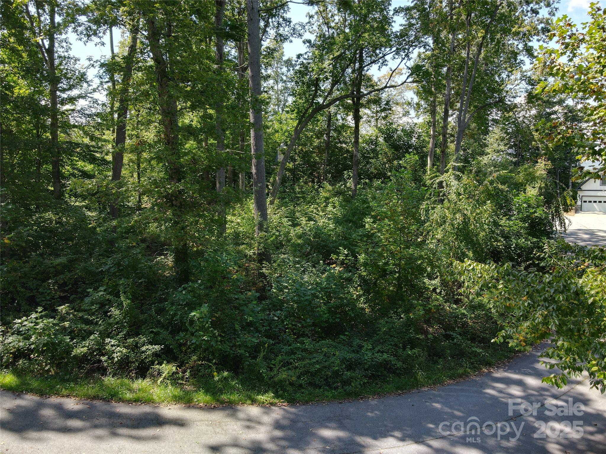 89 Hamilton Woods Lane Property Photo 5