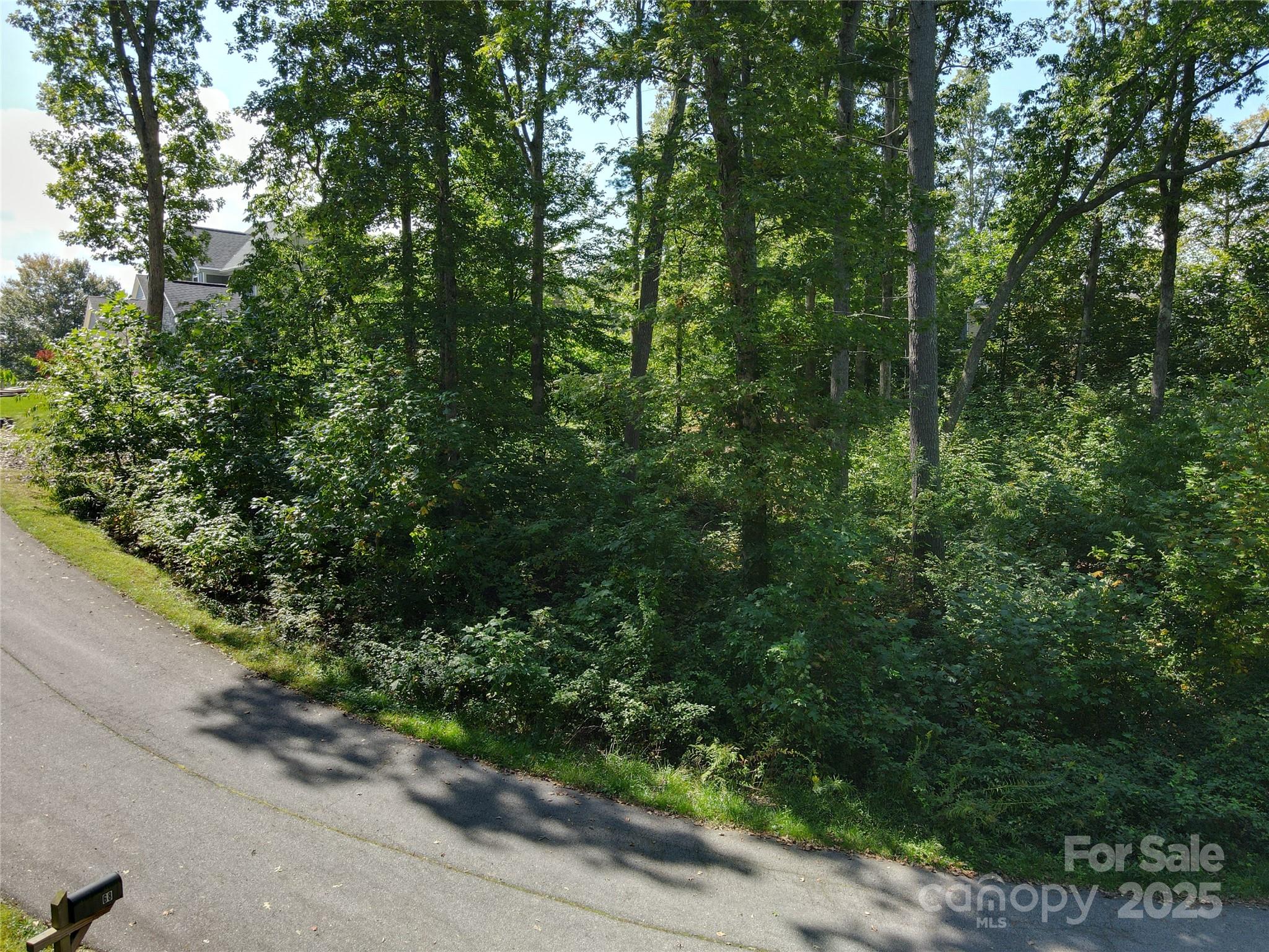 89 Hamilton Woods Lane Property Photo 6