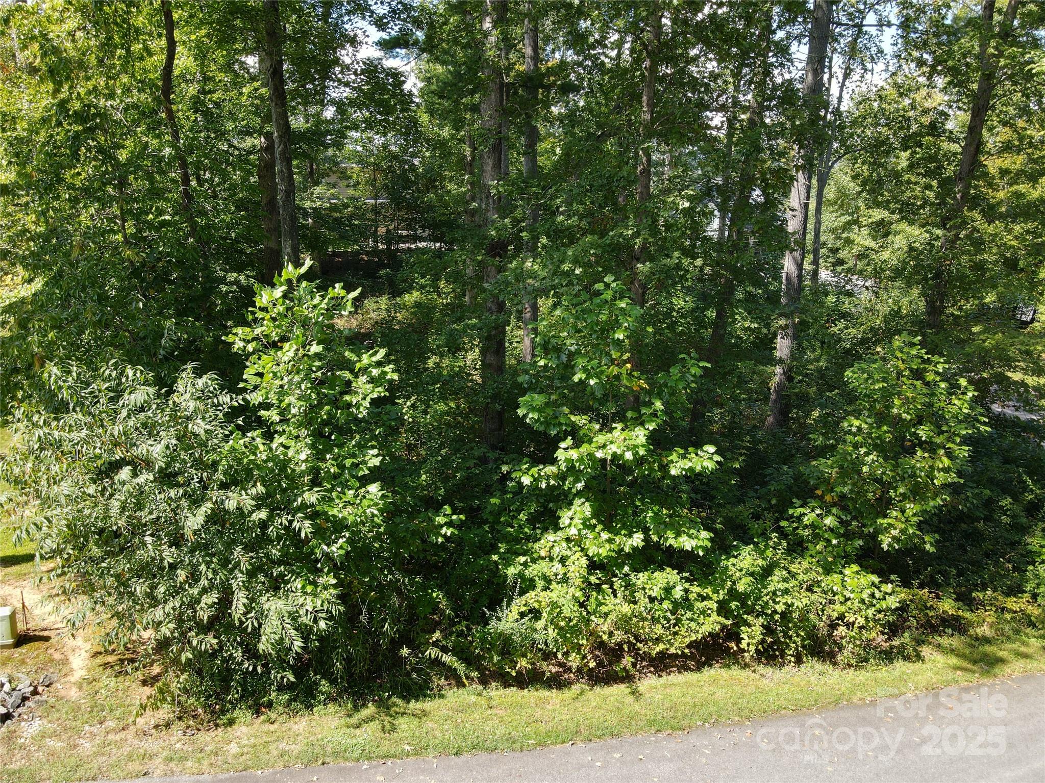 89 Hamilton Woods Lane Property Photo 7