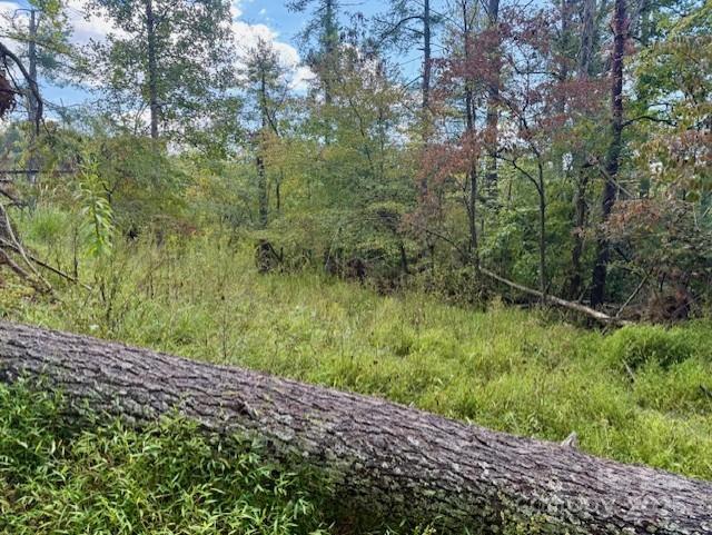 15 Ball Hollow Road Property Photo 5